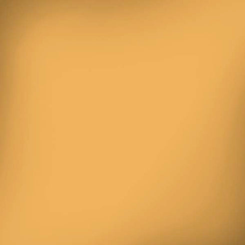 Amber Yellow Moto G6 Skin