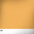 Amber Yellow HP Spectre Skin