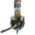 Grant Wood American Gothic BENGOO G9000 Skin