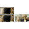 Grant Wood American Gothic DS Lite Skin