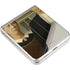 Grant Wood American Gothic Galaxy Z Flip3 5G Skin