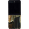 Grant Wood American Gothic Galaxy Z Flip5 5G Skin
