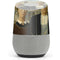 Grant Wood American Gothic Google Home Skin