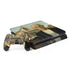 Grant Wood American Gothic PS4 Slim Bundle Skin