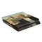 Grant Wood American Gothic PS4 Slim Skin