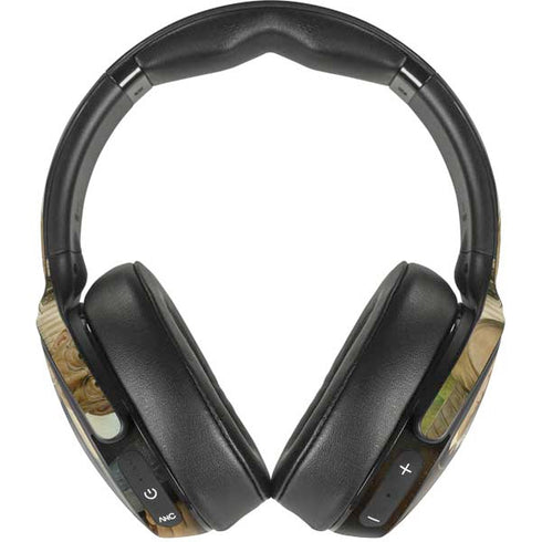 Grant Wood American Gothic Skullcandy Venue Skin