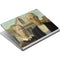 Grant Wood American Gothic Surface Book Skin