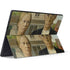 Grant Wood American Gothic Surface Pro 6 Skin