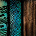 Animal Print Fashion Surface Book 2 13.5in Skin