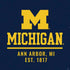 Ann Arbor Est 1817 PS4 Slim Skin