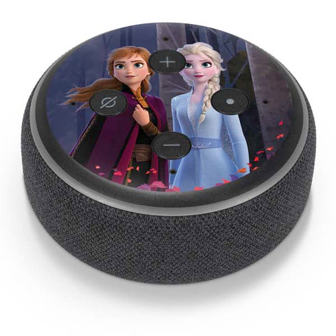 Disney Frozen II Anna and Elsa Amazon Echo Dot Skin