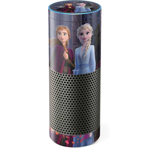Disney Frozen II Anna and Elsa Amazon Echo Skin