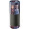 Disney Frozen II Anna and Elsa Amazon Echo Skin