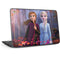 Disney Frozen II Anna and Elsa HP Chromebook Skin