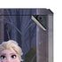 Disney Frozen II Anna and Elsa Cooler Master MasterBox Q300L Mini Tower Skin