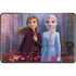 Disney Frozen II Anna and Elsa Google Pixelbook Go Skin