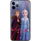 Disney Frozen II Anna and Elsa iPhone 11 Pro Skin