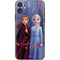 Disney Frozen II Anna and Elsa iPhone 11 Skin