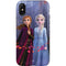 Disney Frozen II Anna and Elsa iPhone XS Pro Case