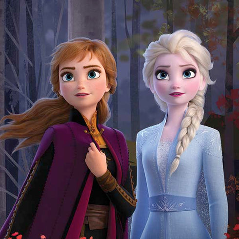 Disney Frozen II Anna and Elsa Moto G6 Skin