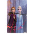 Disney Frozen II Anna and Elsa PS5 Slim Digital Edition Bundle Skin