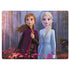 Disney Frozen II Anna and Elsa Surface Laptop 3 13.5in Skin
