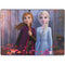 Disney Frozen II Anna and Elsa Surface Pro 8 Skin