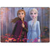 Disney Frozen II Anna and Elsa Surface Pro 9 Skin