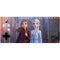 Disney Frozen II Anna and Elsa Xbox Adaptive Controller Skin