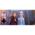 Disney Frozen II Anna and Elsa Xbox Adaptive Controller Skin