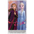 Disney Frozen II Anna and Elsa Xbox Series S Skins