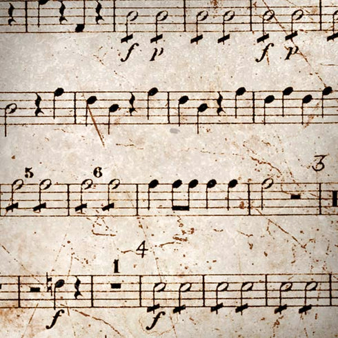 Antique Notes iPhone X Skin