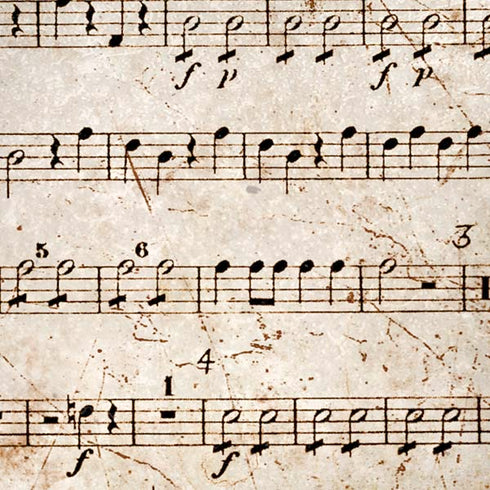 Antique Notes iPhone XS Skin