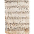 Antique Notes PS5 Bundle Skin
