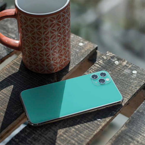 Aqua Blue Blue Solid iPhone 11 Pro Max Skin