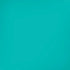 Aqua Blue Blue Solid iPhone XR Skin