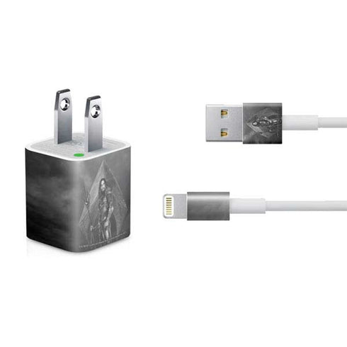 The Justice League (2017) Aquaman Poster iPhone Charger (5W USB) Skin