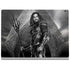The Justice League (2017) Aquaman Poster Surface Book 2 13.5in Skin
