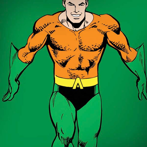 DC Comics Aquaman Classic Art Pose iPhone X Skin