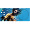 DC Comics Aquaman Movie Arthur Curry Poster Xbox Adaptive Controller Skin