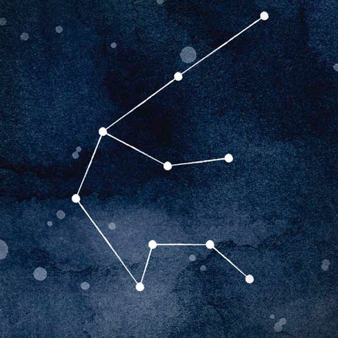 Aquarius Constellation iPhone X Skin