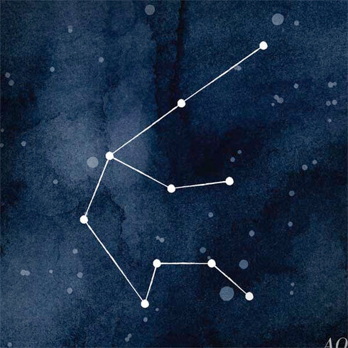 Aquarius Constellation HP Spectre Skin