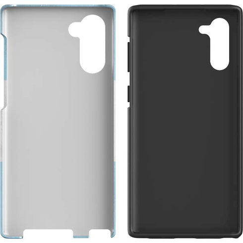 Argentina Flag Distressed Galaxy Note 10 Pro Case