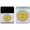 Argentina Flag Distressed Galaxy Z Flip4 5G Skin