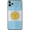 Argentina Flag Distressed iPhone 11 Pro Max Skin