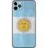 Argentina Flag Distressed iPhone 11 Pro Max Skin
