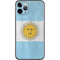 Argentina Flag Distressed iPhone 11 Pro Skin