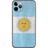 Argentina Flag Distressed iPhone 11 Pro Skin
