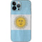 Argentina Flag Distressed iPhone 13 Pro Max Skin
