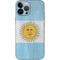Argentina Flag Distressed iPhone 14 Pro Max Skin